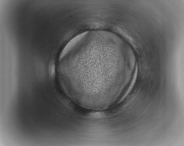 X0000101420067200807211137
