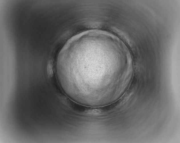 X0000101420069200807211137