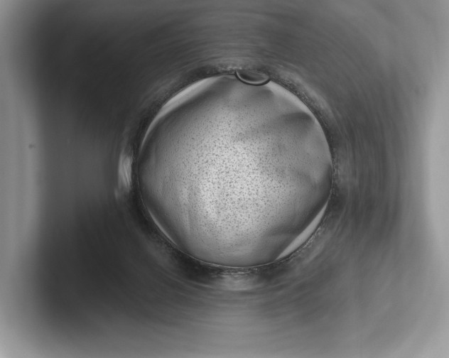 X0000101420070200807211138