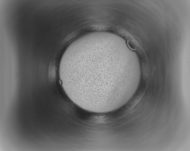 X0000101420071200807211138