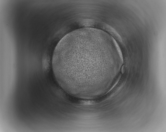 X0000101420073200807211138