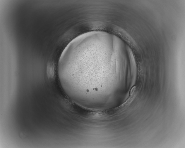 X0000101420074200807211138
