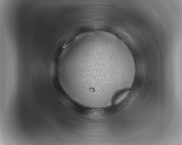 X0000101420077200807211138