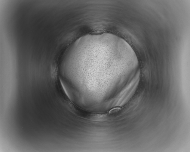 X0000101420081200807211138