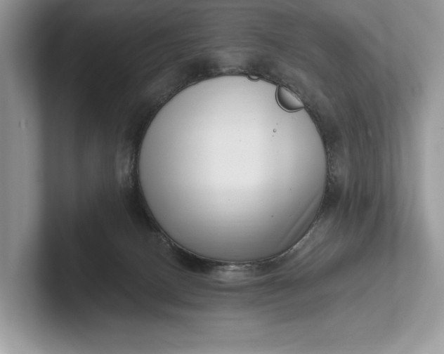 X0000101420082200807211138