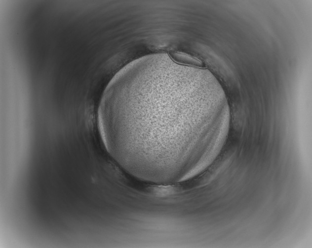 X0000101420085200807211138