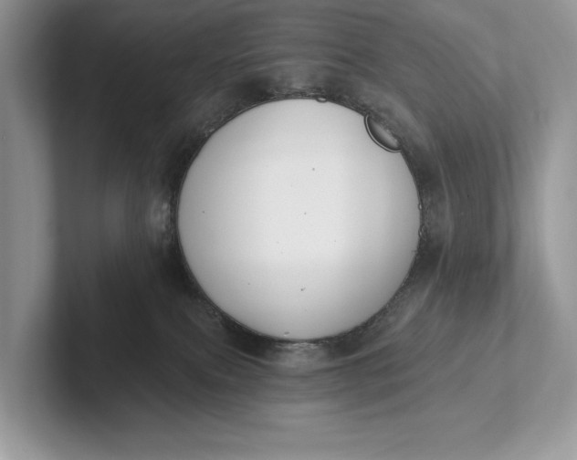 X0000101420087200807211138