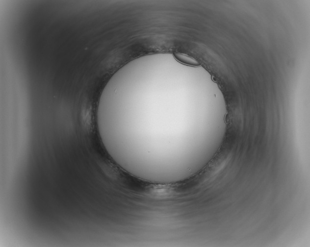 X0000101420088200807211138