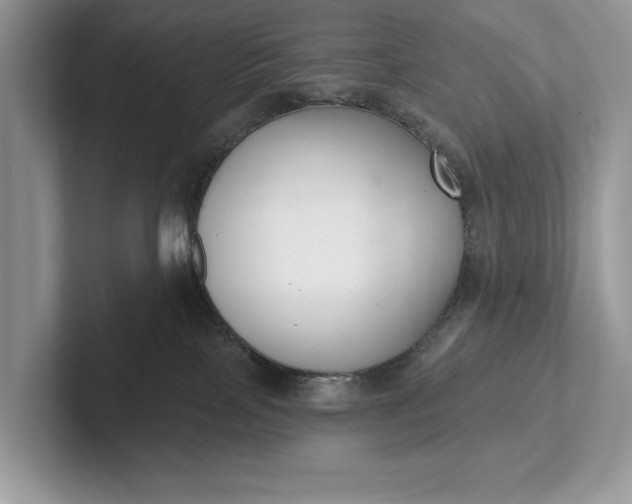 X0000101420089200807211138