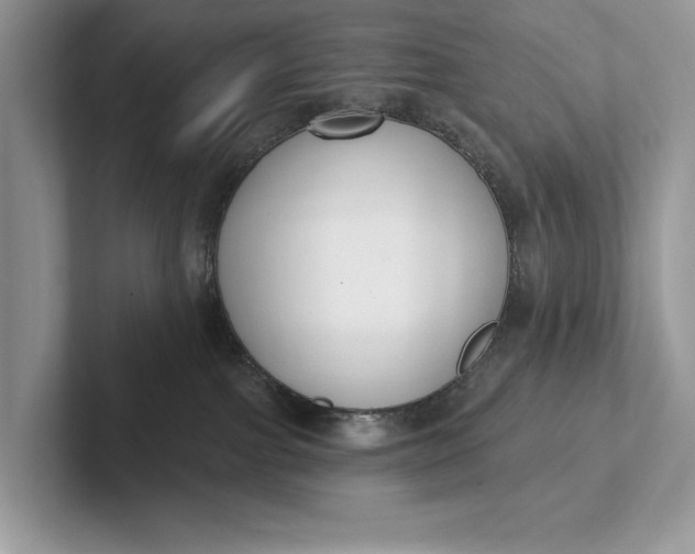 X0000101420091200807211138