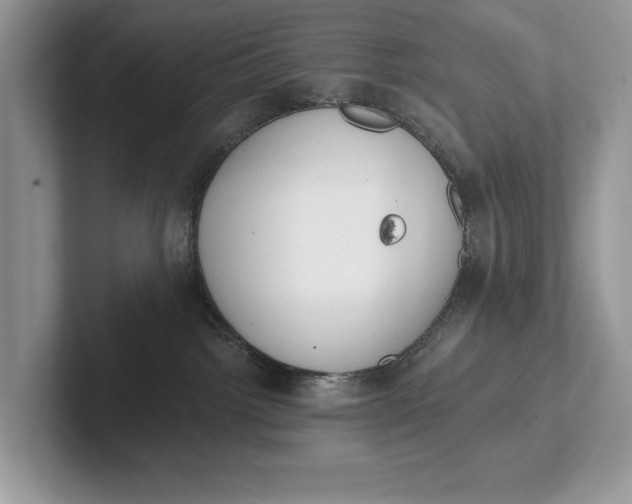 X0000101420092200807211138