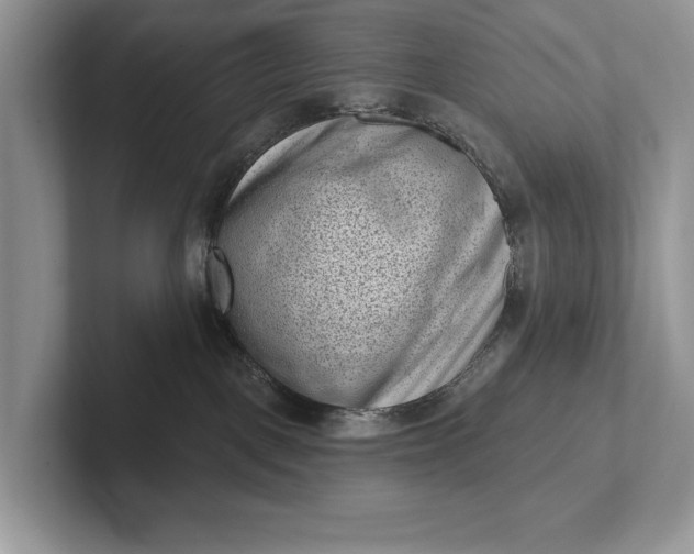 X0000101420093200807211138