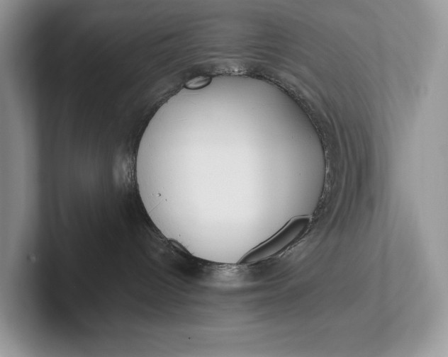 X0000101420096200807211138