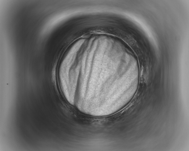 X0000101420099200807211137