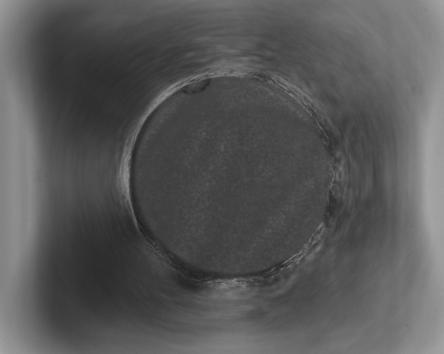 X0000101420100200807211137