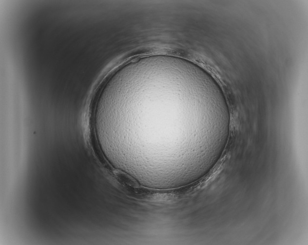 X0000101420101200807211137