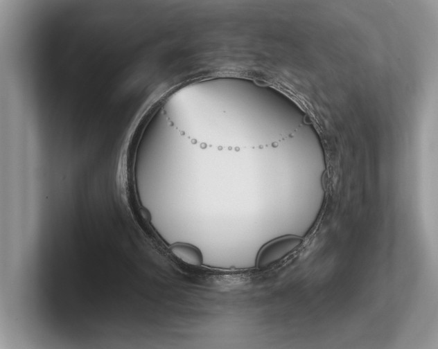 X0000101420102200807211137