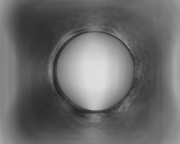 X0000101420103200807211137