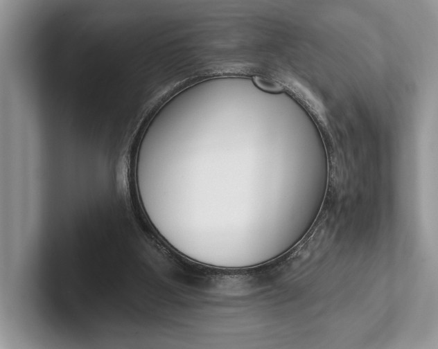 X0000101420107200807211137