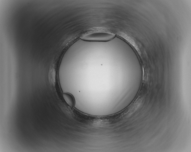 X0000101420109200807211137