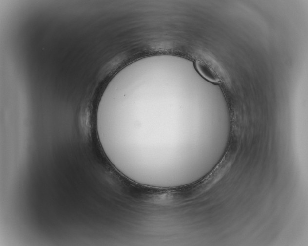 X0000101420116200807211137