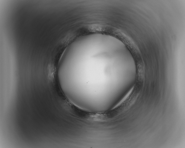 X0000101420125200807211137