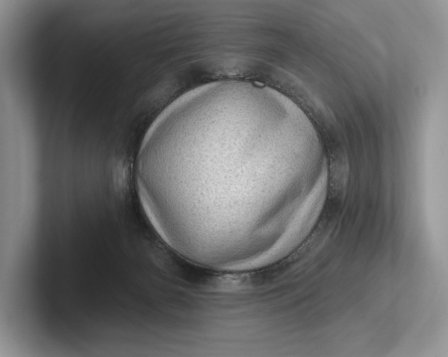X0000101420126200807211137