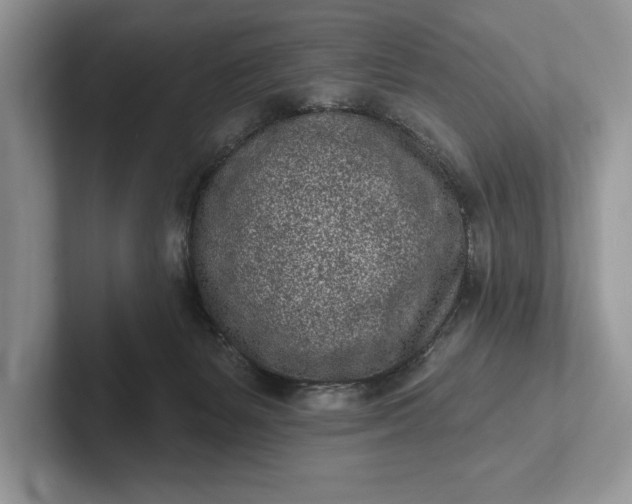 X0000101420127200807211137