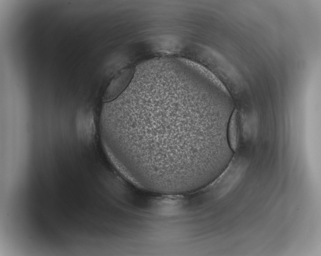 X0000101420128200807211137