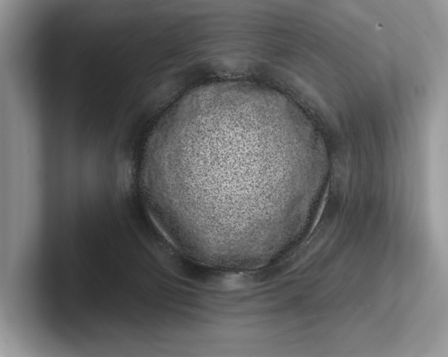 X0000101420130200807211137