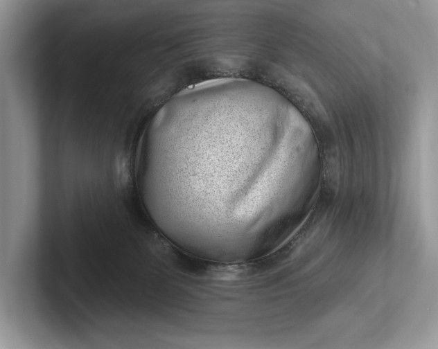 X0000101420131200807211137