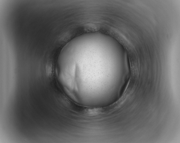 X0000101420134200807211137