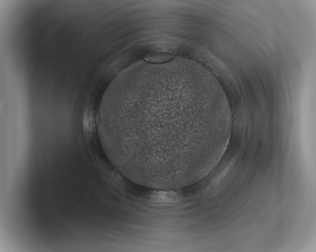X0000101420137200807211137