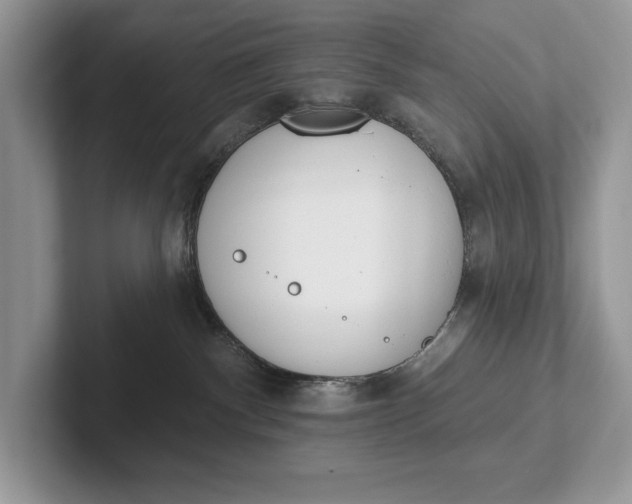 X0000101420140200807211137