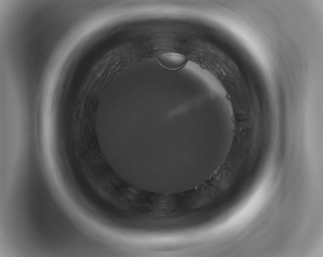X0000101420143200807211137
