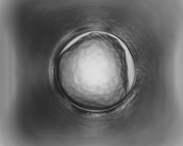 X0000101420149200807211136