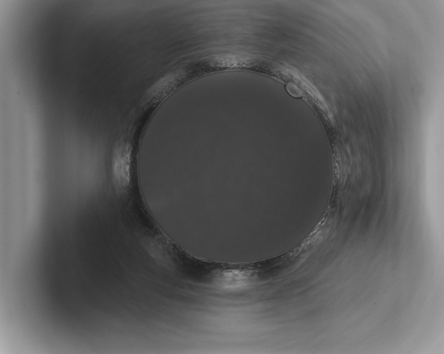 X0000101420163200807211136