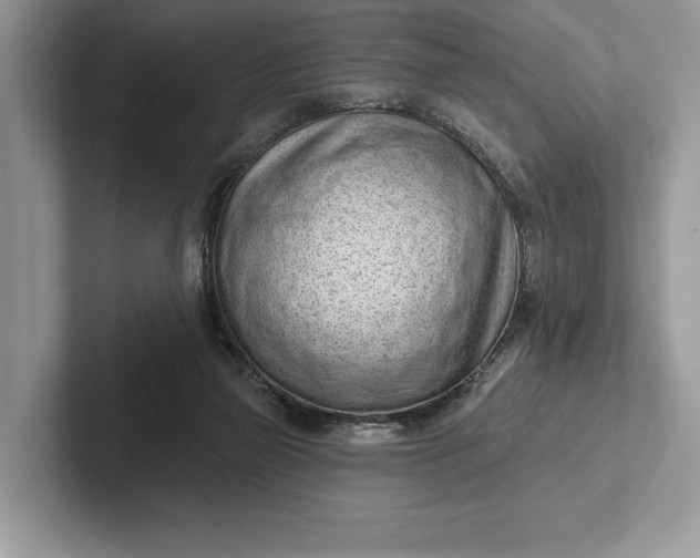X0000101420165200807211136