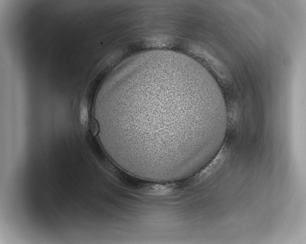 X0000101420166200807211136