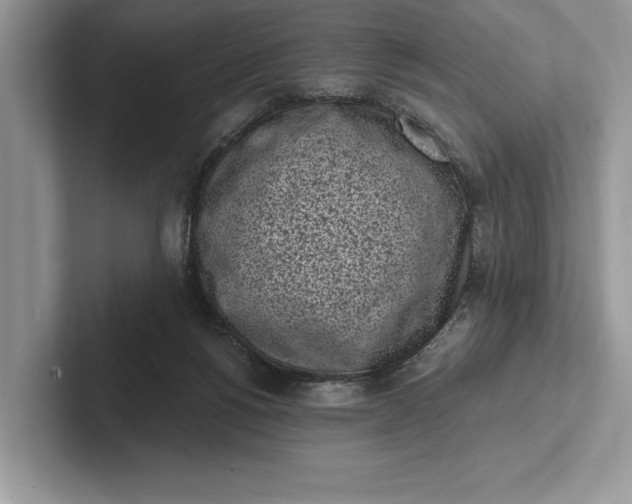 X0000101420168200807211136