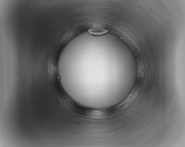 X0000101420176200807211136