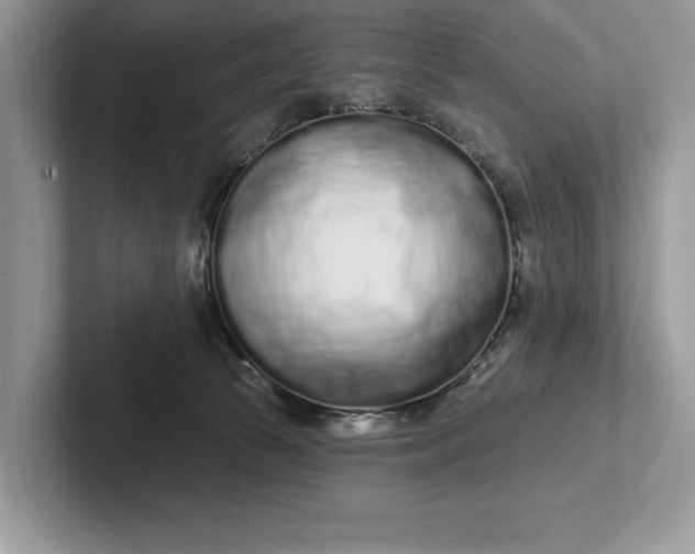 X0000101420177200807211136