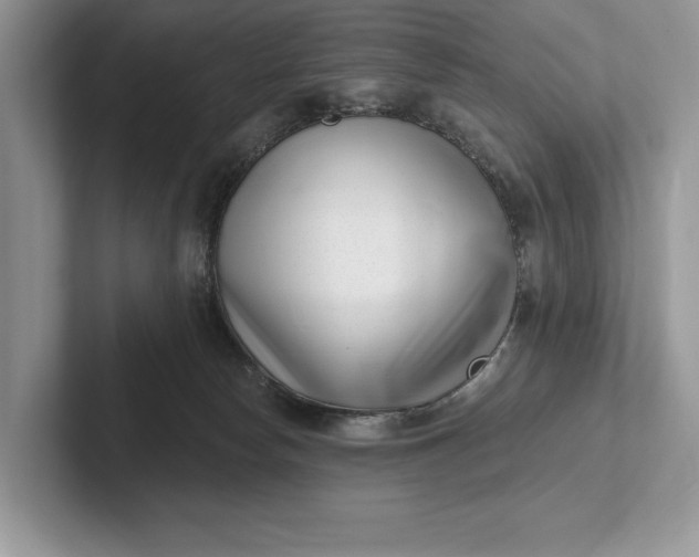 X0000101420178200807211136