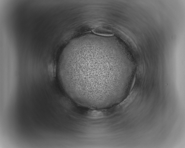 X0000101420180200807211136