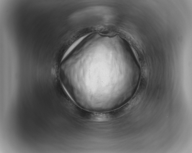 X0000101420181200807211136