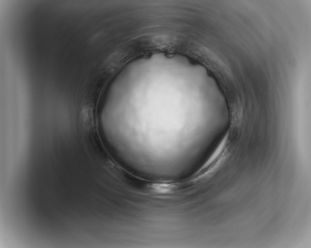 X0000101420182200807211136