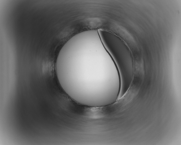 X0000101420184200807211136