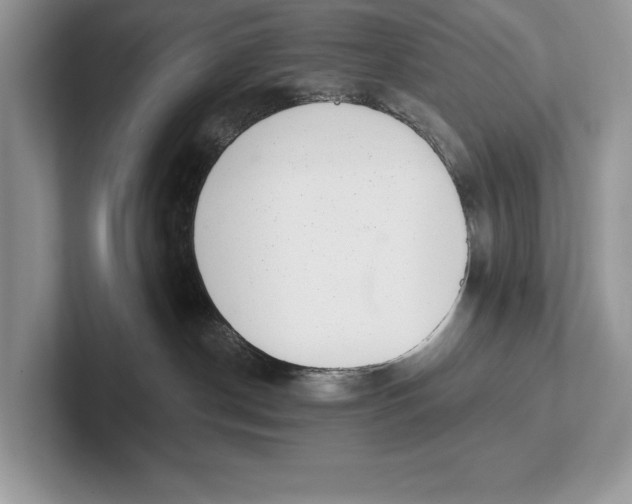 X0000101420190200807211137