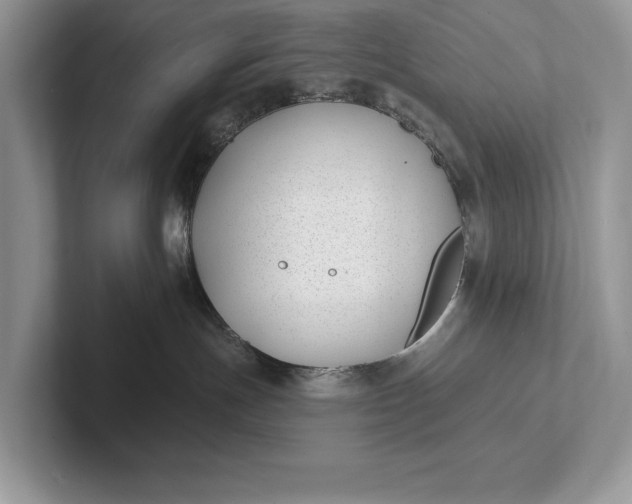 X0000101420191200807211137