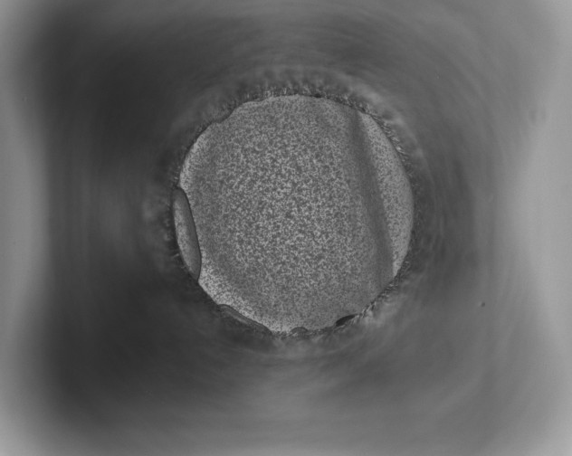 X0000101420192200807211137